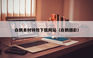 商洛白鹅素材特效下载网站（白鹅摄影）